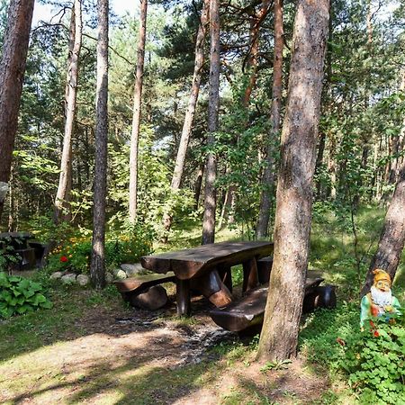 Vila Krantas パランガ エクステリア 写真